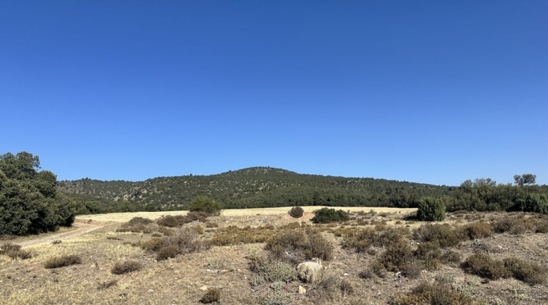 Castellón - El Toro - 850000m2