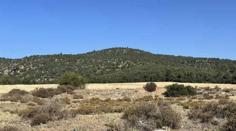 Castellón - El Toro - 850000m2