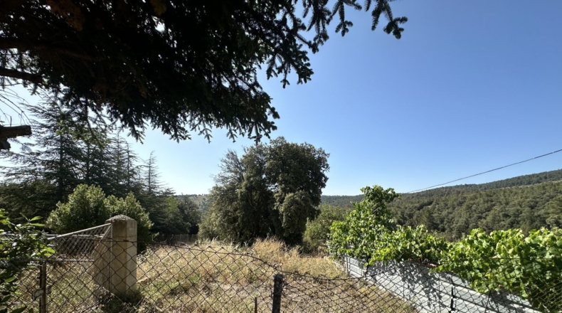Castellón - El Toro - 850000m2