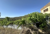 Finca rústica en venda a El Toro ref.: TR188046 foto