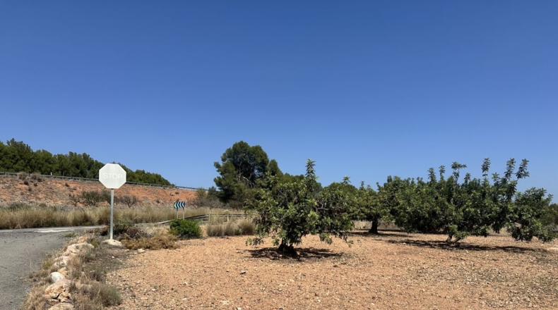València - Alfara de la Baronía - 4553m2