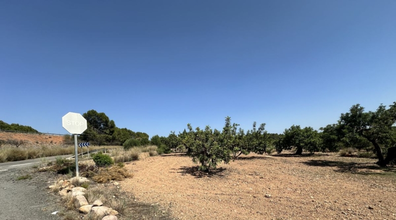 València - Alfara de la Baronía - 4553m2