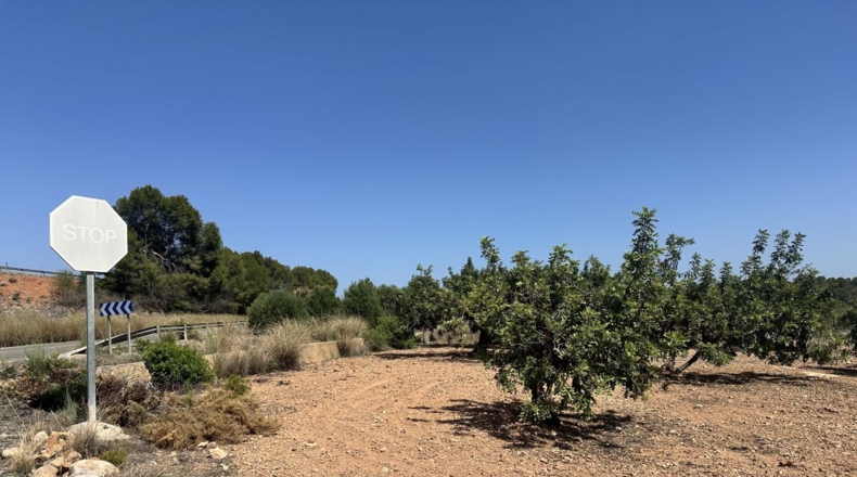 València - Alfara de la Baronía - 4553m2