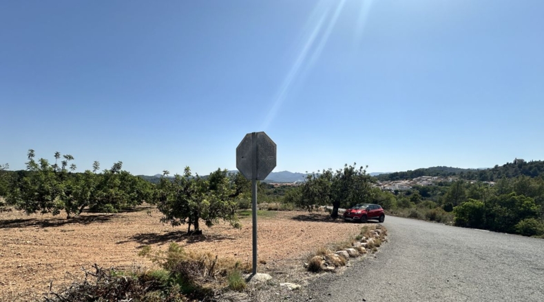 València - Alfara de la Baronía - 4553m2
