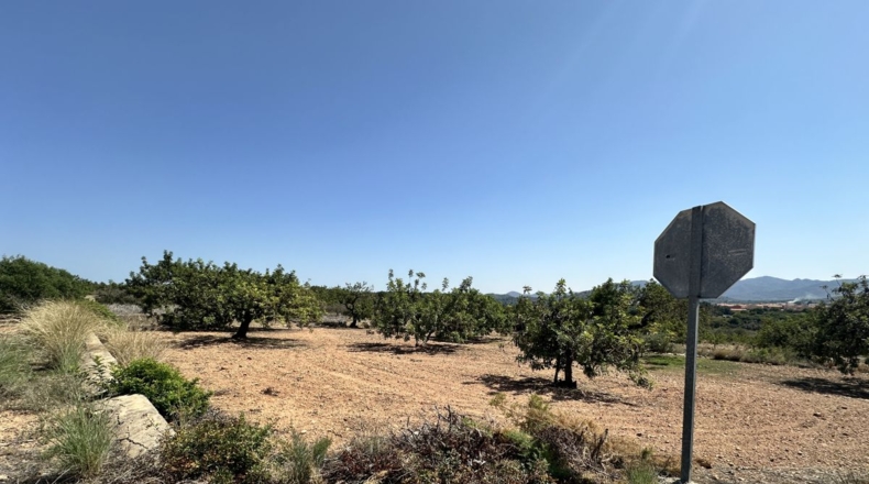València - Alfara de la Baronía - 4553m2