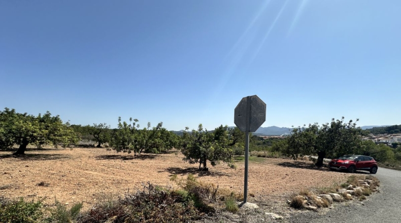 València - Alfara de la Baronía - 4553m2
