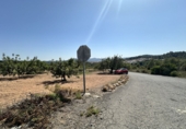 Terreny no urbanitzable en venda a Alfara de la Baronia ref.: TR110136 foto