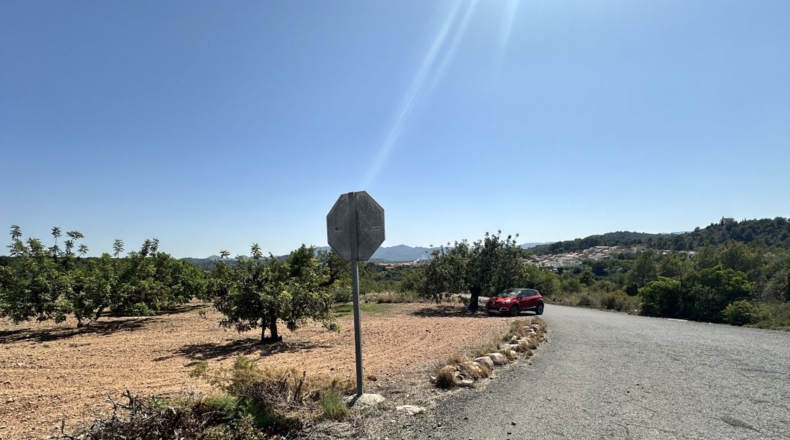 València - Alfara de la Baronía - 4553m2