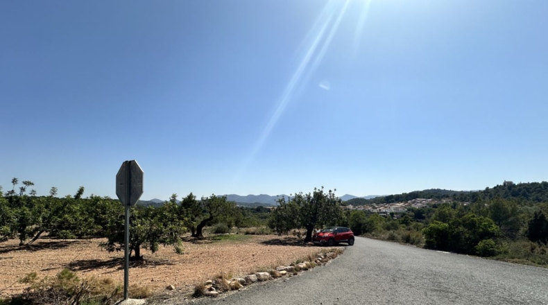 València - Alfara de la Baronía - 4553m2