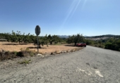Terreny no urbanitzable en venda a Alfara de la Baronia ref.: TR110136 foto