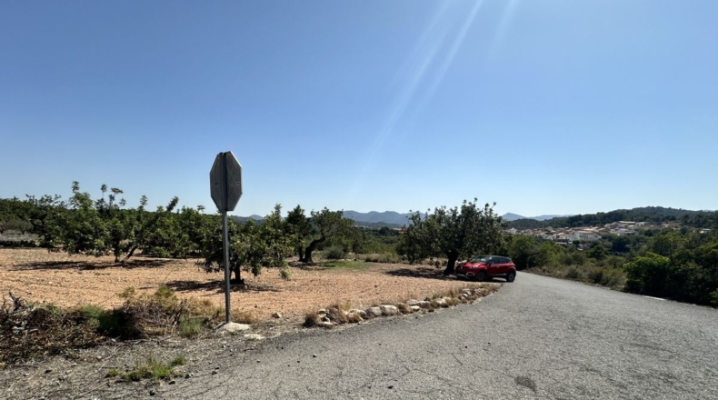 València - Alfara de la Baronía - 4553m2