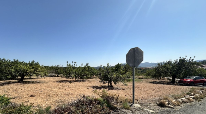 València - Alfara de la Baronía - 4553m2