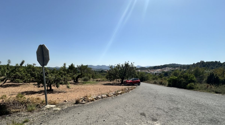 València - Alfara de la Baronía - 4553m2
