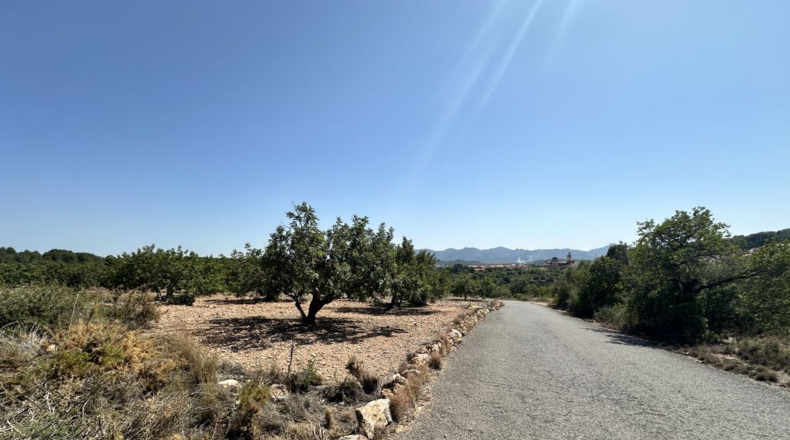 València - Alfara de la Baronía - 4553m2