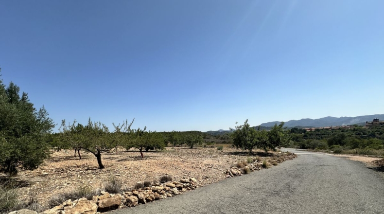 València - Alfara de la Baronía - 4553m2