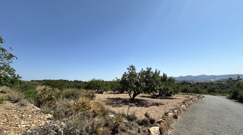 València - Alfara de la Baronía - 4553m2
