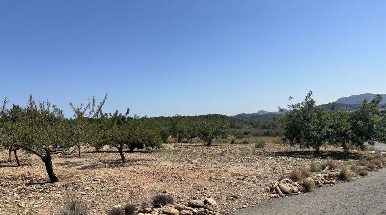 València - Alfara de la Baronía - 4553m2
