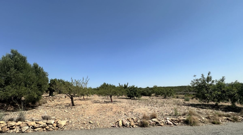 València - Alfara de la Baronía - 4553m2