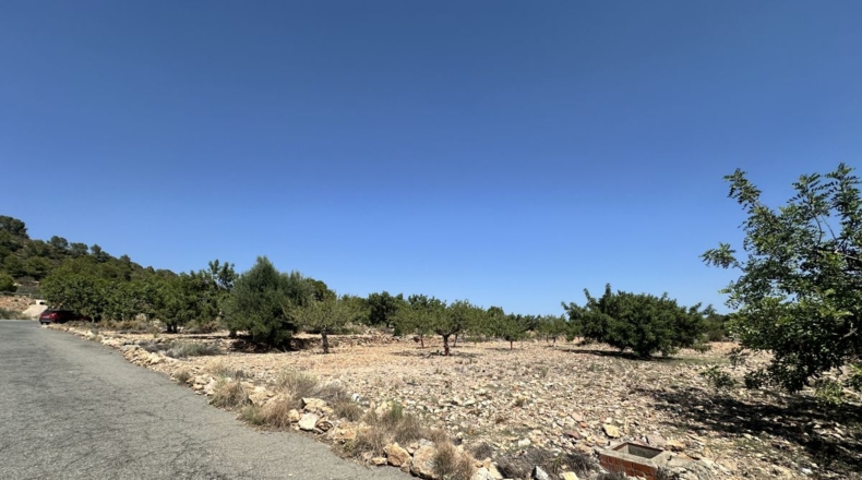 València - Alfara de la Baronía - 4553m2