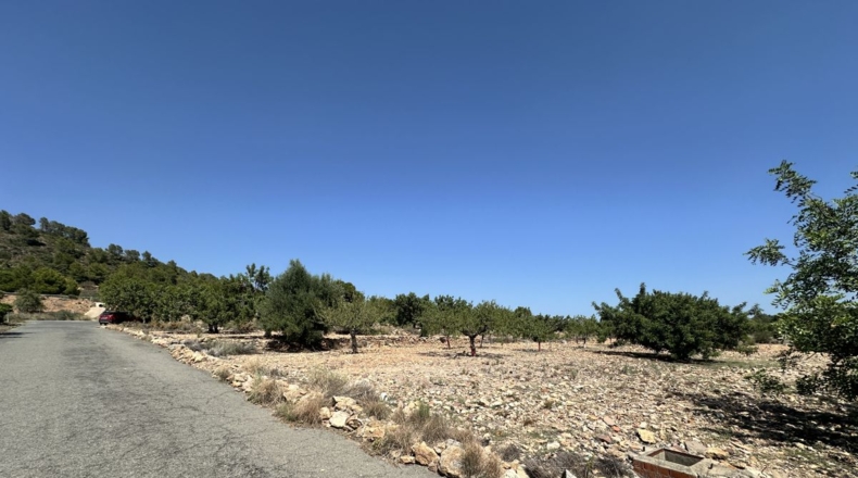 València - Alfara de la Baronía - 4553m2