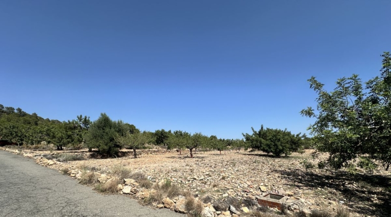 València - Alfara de la Baronía - 4553m2