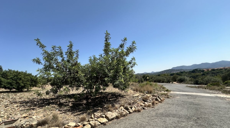 València - Alfara de la Baronía - 4553m2
