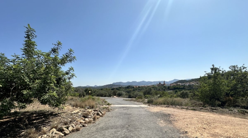 València - Alfara de la Baronía - 4553m2
