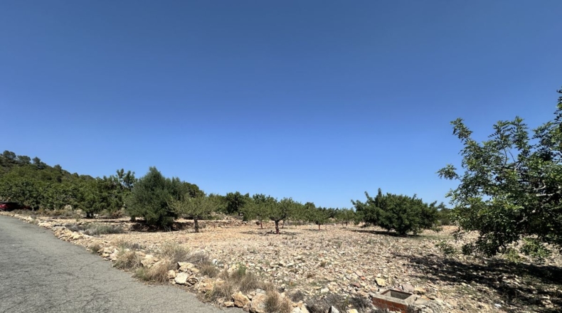 València - Alfara de la Baronía - 4553m2