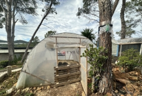 Alfara de la Baronia 1484&nbsp;м²