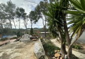 Detached villa with land for sale in Alfara de la Baronia ref: TR176503 photo
