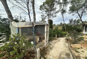 Alfara de la Baronia 1484&nbsp;м²