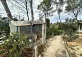 Detached villa with land for sale in Alfara de la Baronia ref: TR176503 photo