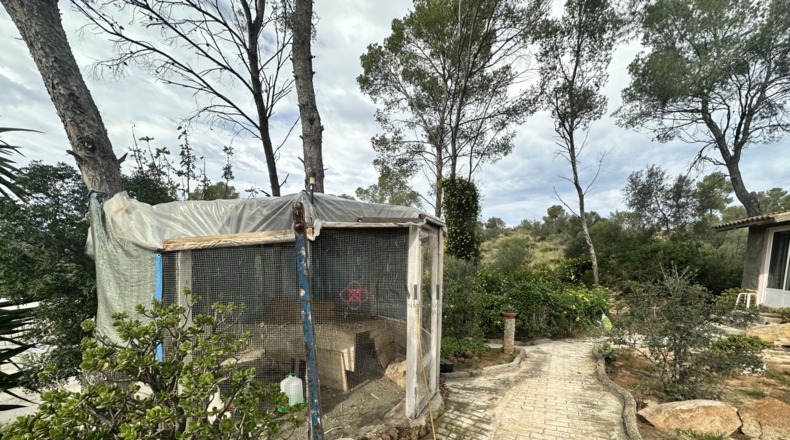 Valencia - Alfara de la Baronía - 1484m2