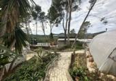 Detached villa with land for sale in Alfara de la Baronia ref: TR176503 photo