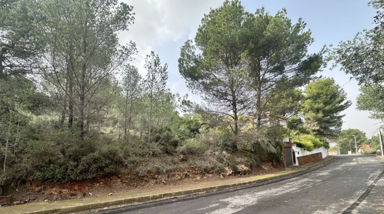 Valencia - Algar de Palància - 729m2