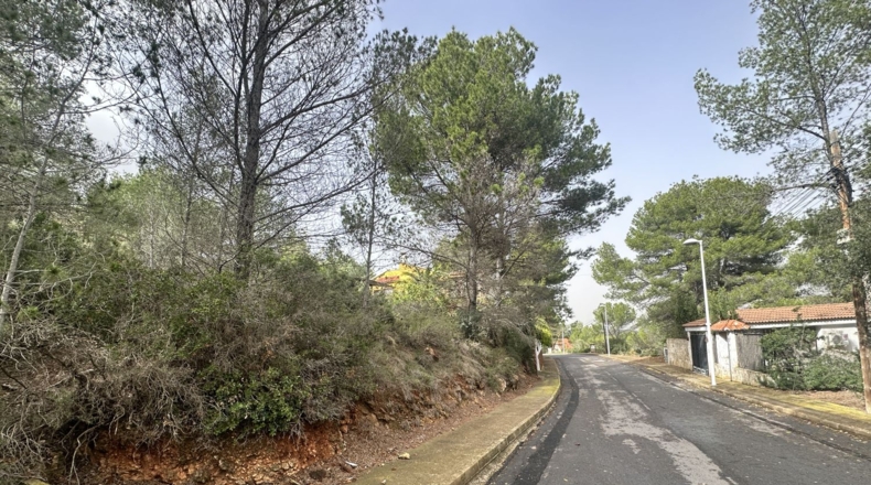 Valencia - Algar de Palància - 729m2