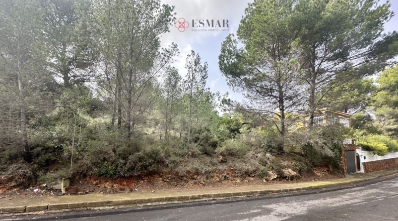 Valencia - Algar de Palància - 729m2