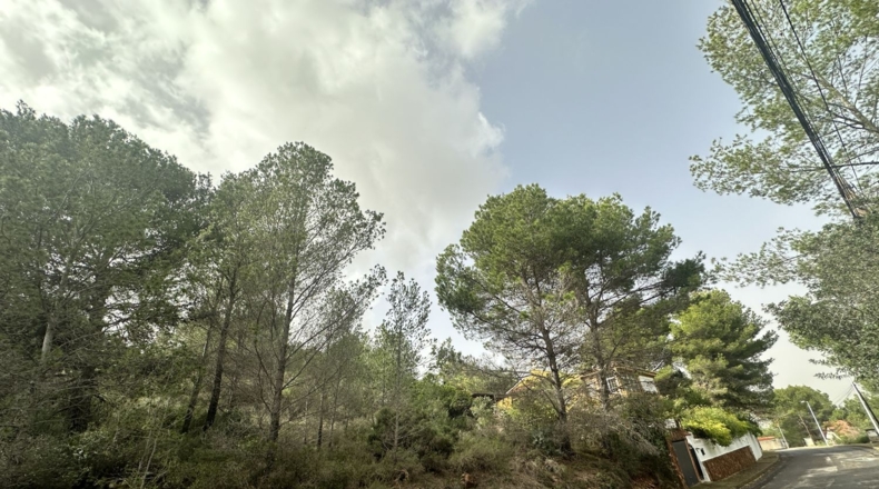 Valencia - Algar de Palància - 729m2