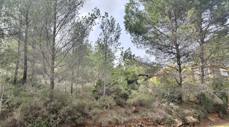 Valencia - Algar de Palància - 729m2