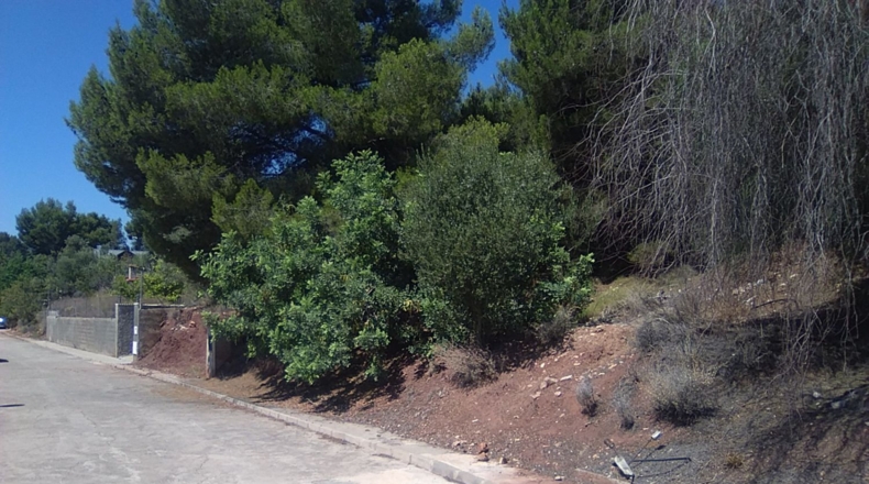 Valencia - Torres Torres - 1300m2