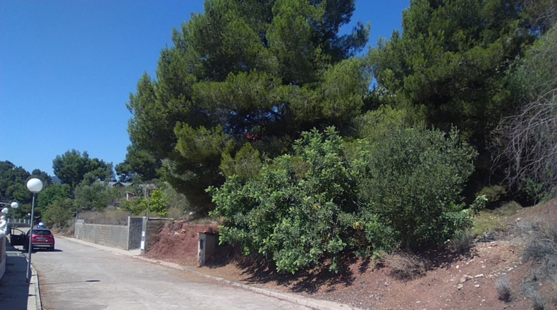 Valencia - Torres Torres - 1300m2