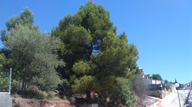 Valencia - Torres Torres - 1300m2
