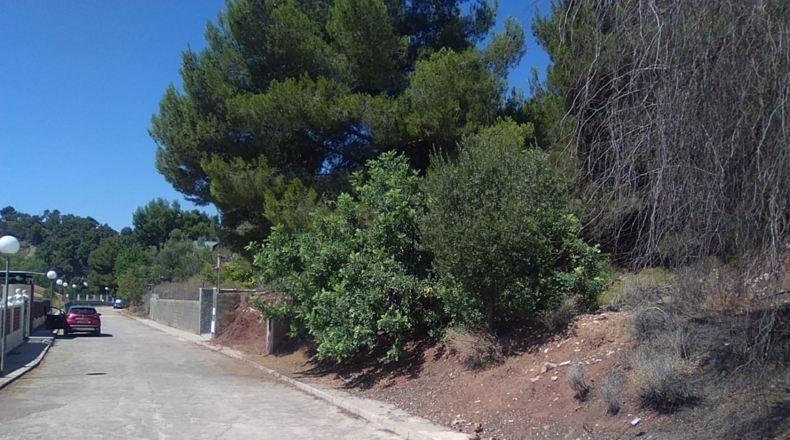 Valencia - Torres Torres - 1300m2