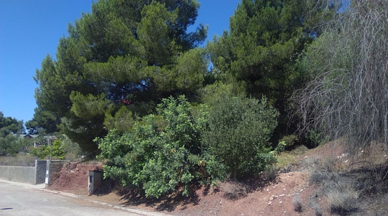 Valencia - Torres Torres - 1300m2