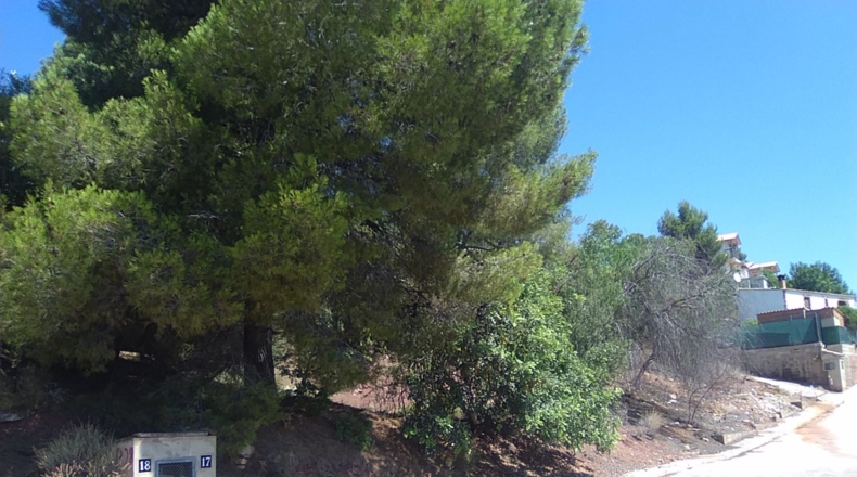Valencia - Torres Torres - 1300m2