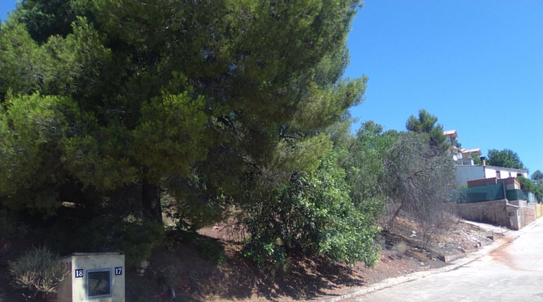 Valencia - Torres Torres - 1300m2