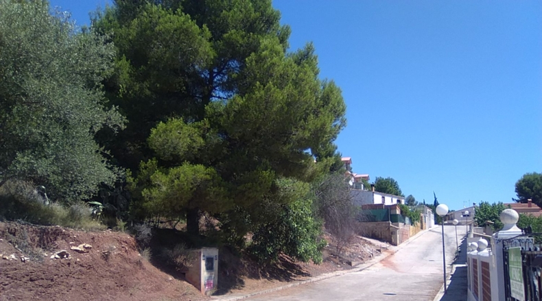 Valencia - Torres Torres - 1300m2