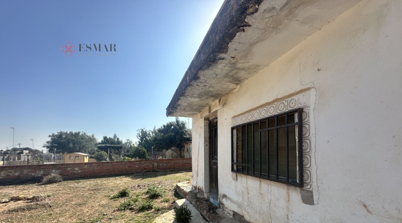 Valencia - Torres Torres - 580m2