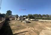 Casa de pueblo en venta en Torres Torres ref: TR274456 foto