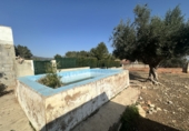 Casa de pueblo en venta en Torres Torres ref: TR274456 foto
